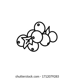 The icon of currant. Outline illustration vector. Pictogram for web page, mobile app, promo. UI UX GUI design element. Editable stroke. Vector.