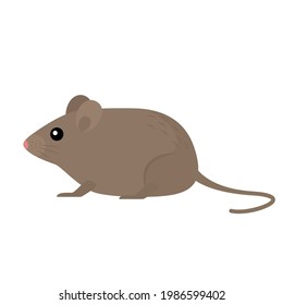 icon of a cute mouse with a tail. vector illustration isolated on white background