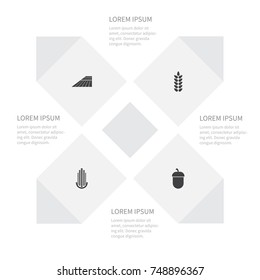 Icon Dacha Set Of Maize, Grain, Area And Other Vector Objects. Also Includes Oak, Hazelnut, Wheat Elements.