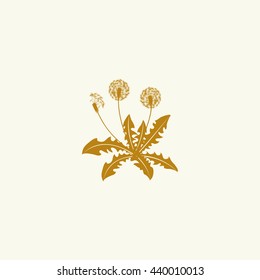 Icon dandelion.