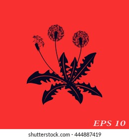 Icon dandelion.