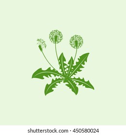 Icon dandelion.