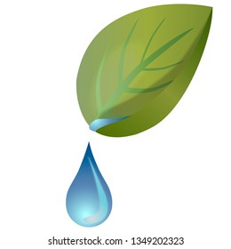 Icon for decorative design. Abstract watercolor. Realistic botanical vector illustration. Green tree leaves. Vector illustration design. Ecology nature environment. Watercolor splash.