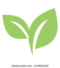 
An icon denoting common tree leaves i e pair of leaves 
