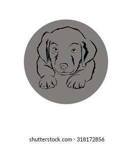 icon design dog vector emblem illustration concept