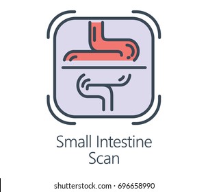 Icon design of Small Intestine in flat line style. Symbol about health check up and medical concept.