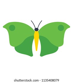 
An icon designed with one of the rare but eye-popping specie of butterfly, showing green butterfly icon
