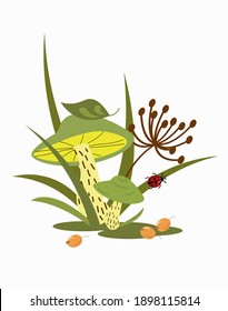 Icon with different forest mushrooms. Vector illustration with mushrooms in the grass and a ladybug. Postcard for logos, scrapbooking and decor. Vector illustration.