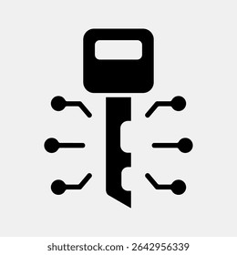 Icon digital key. Crypto currency elements. Icon in glyph style.