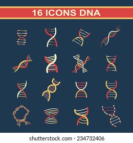 Icon DNA