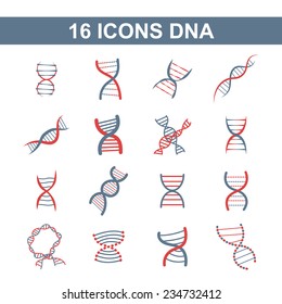 Icon DNA