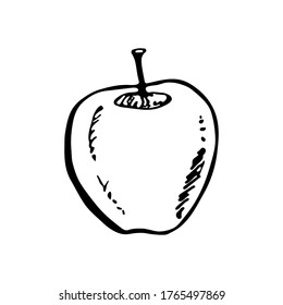 Icon in doodle style of apple isolated on white background. Template for postcard, banner, poster, web design. Hand Drawn vector illustration.