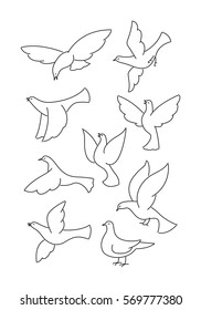 icon dove, vector