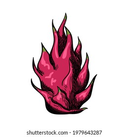 Icono De Fruta Dragón. Diseño de esbozos dibujados a mano. Ilustración vectorial.