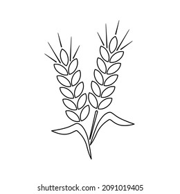 Das Symbol des Ohrs der Umrisslinie. Umriss von zwei Körnern. Ein Symbol der Landwirtschaft. Vektorgrafik einzeln auf weißem Hintergrund für Design und Web.