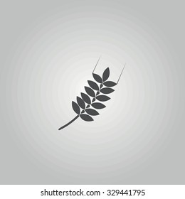Icon ear of wheat.