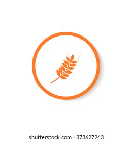 Icon ear of wheat.