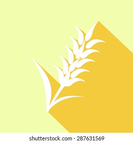 Icon Ears of Wheat with a long shadow