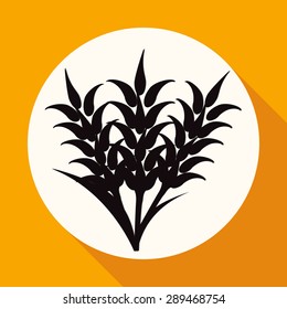 Icon Ears of Wheat on white circle with a long shadow