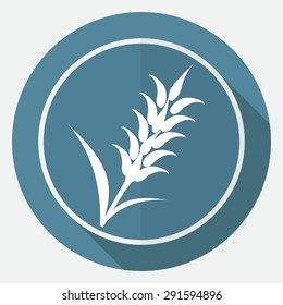 Icon Ears of Wheat on white circle with a long shadow