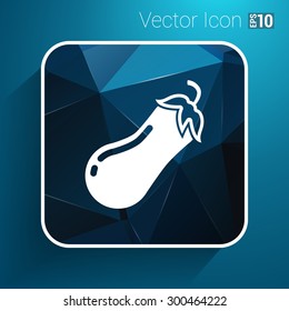 Icon of eggplant Logo label icon vector.