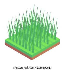  Ein Icon der landwirtschaftlichen Felder isometrische Gestaltung 

