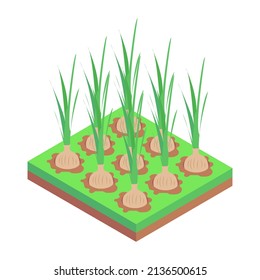  An icon of farm fields isometric design 

