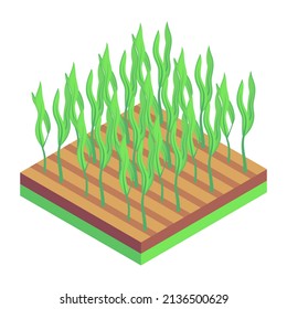  An icon of farm fields isometric design 

