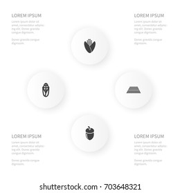 Icon Farm Set Of Cereal, Hazelnut, Popcorn And Other Vector Objects. Also Includes Field, Grain, Hazelnut Elements.