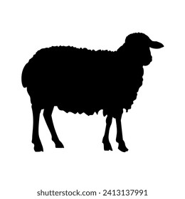 Icon of a farm sheep. Silhouette of a domestic ewe. Vector illustration isolated on a white background