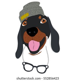 Icon with fashion dachshund dog. Vector illustration in flat style.