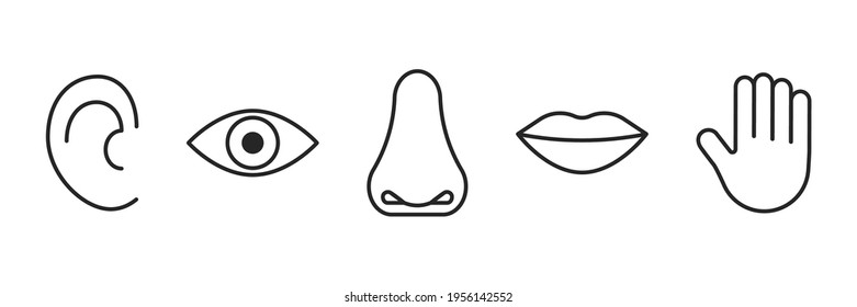 Icon of five human senses, vision, smell, taste, hearing, touch. Line sign eye, nose, mouth, ear, hand. Editable black outline stroke. Vector illustration