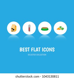 Icon flat animal set of hare nutrition, carrot, thermometer and other vector objects. Also includes food, rabbit, root elements.