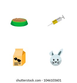 Icon flat animal set of sparrow meal, rabbit, hare nutrition and other vector objects. Also includes food, hare, rabbit elements.
