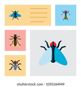 Icon flat buzz set of mosquito, bluebottle, buzz and other vector objects. Also includes fly, gnat, hum elements.
