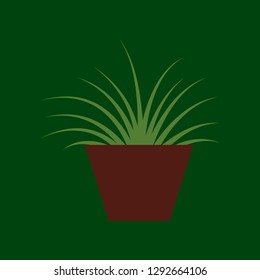 Icon in flat design flower in pot aloe