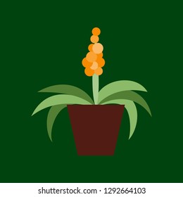 Icon in flat design hyacinth