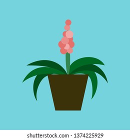 Icon in flat design hyacinth