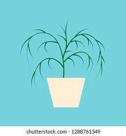 Icon in flat design plant in a pot