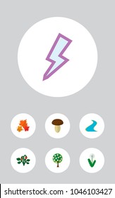 Icon flat ecology set of river, maple leaf, strawberry and other vector objects. Also includes flower, estuary, tributary elements.