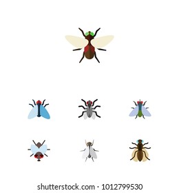 Icon flat fly set of bluebottle, buzz, mosquito and other vector objects. Also includes gnat, dung, housefly elements.