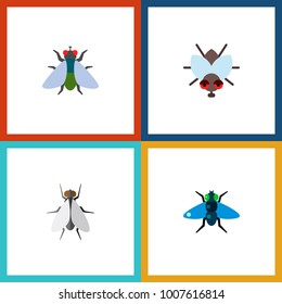 Icon flat fly set of fly, buzz, insect and other vector objects. Also includes fly, insect, buzz elements.