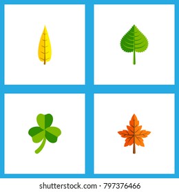 Icon flat maple set of aspen, oaken, leafage and other vector objects. Also includes leaf, foliage, leafage elements.