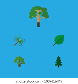Icon flat natural set of oak, forest, spruce leaves and other vector objects. Also includes tree, forest, spruce elements.