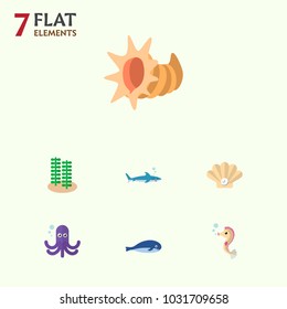 Icon flat nature set of whale, alga, sea horse and other vector objects. Also includes seashell, scallop, shark elements.