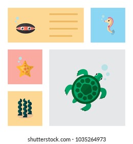 Icon flat sea set of starfish, seashell, sea horse and other vector objects. Also includes sea, spirulina, seashell elements.