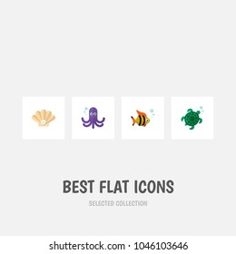 Icon flat sea set of tuna, octopus, turtle and other vector objects. Also includes tuna, turtle, fish elements.
