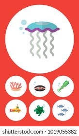 Icon flat sea set of turtle, squid, corals and other vector objects. Also includes underwater, tentacle, algae elements.