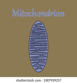icon in flat style mitochondrion