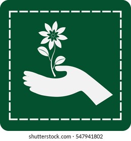 icon of the flower in the hand